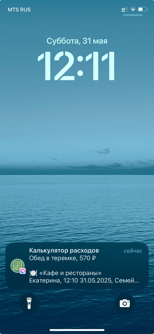 Скриншот уведомления о новой записи в калькуляторе расходов